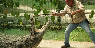 Parque Crocodilo