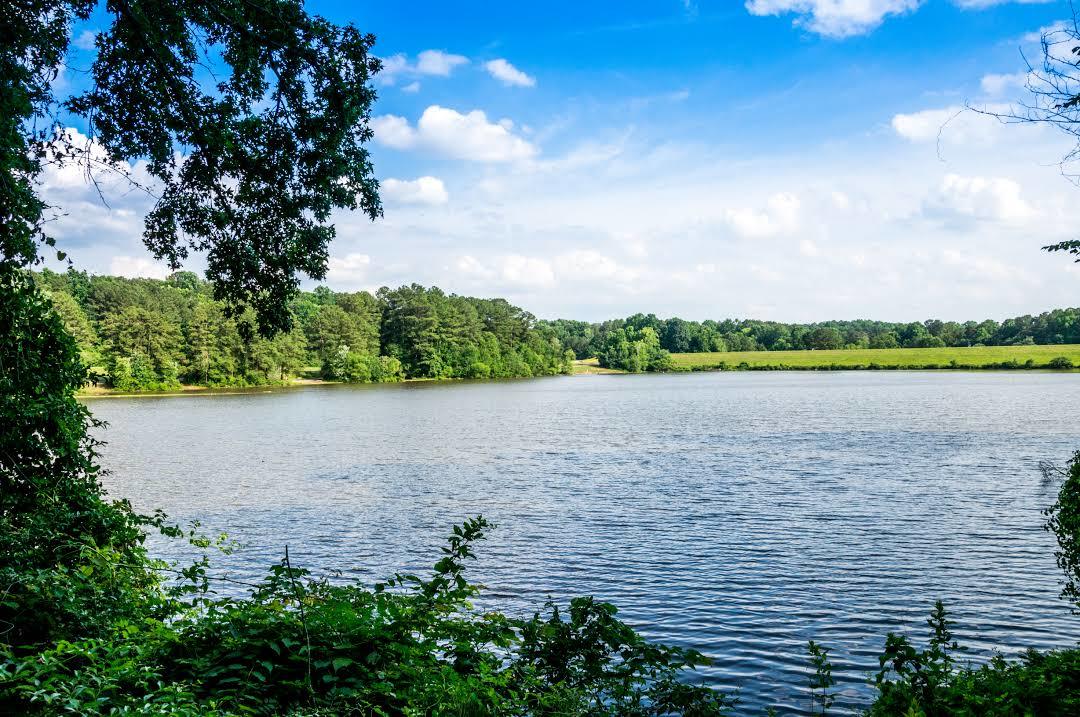 Shelley Lake Park