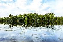Cedar Lake