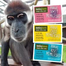 Monkey Haven