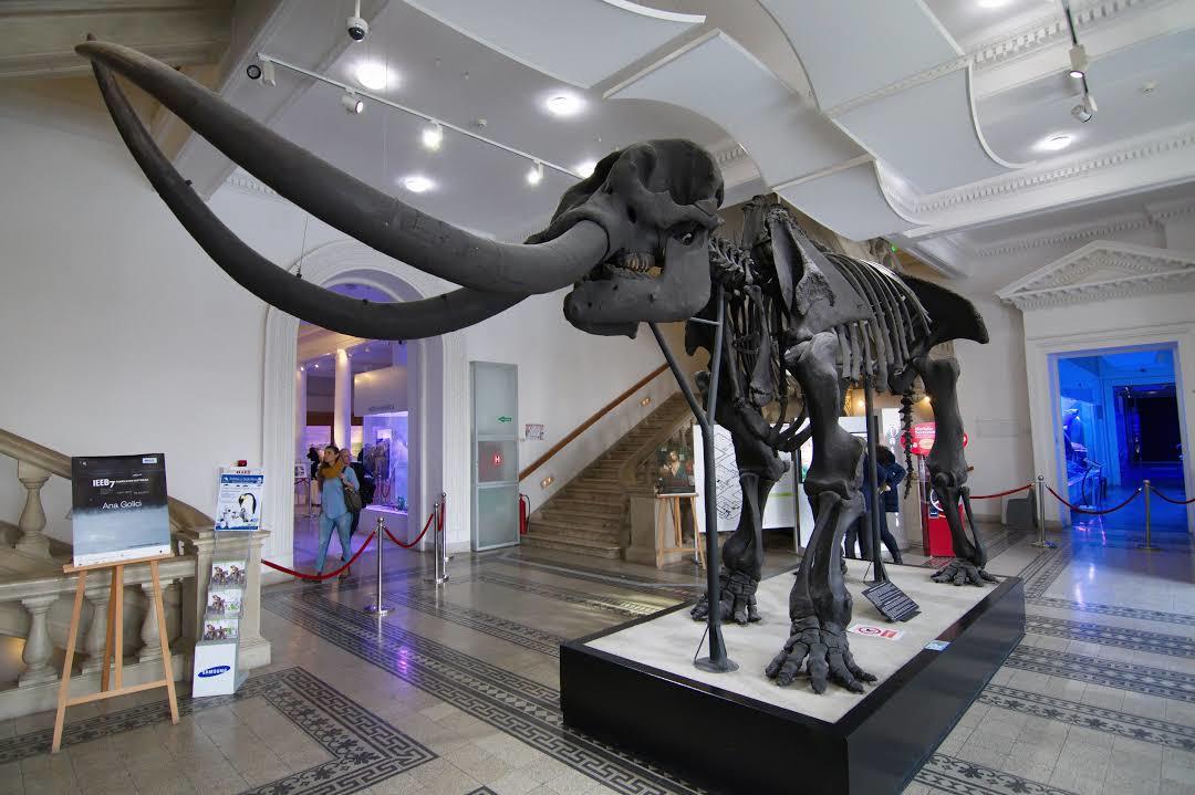 Grigore Antipa National Museum of Natural History
