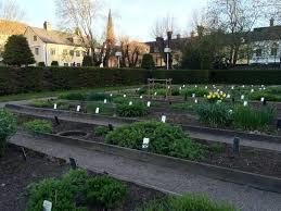 The Linnaeus Garden