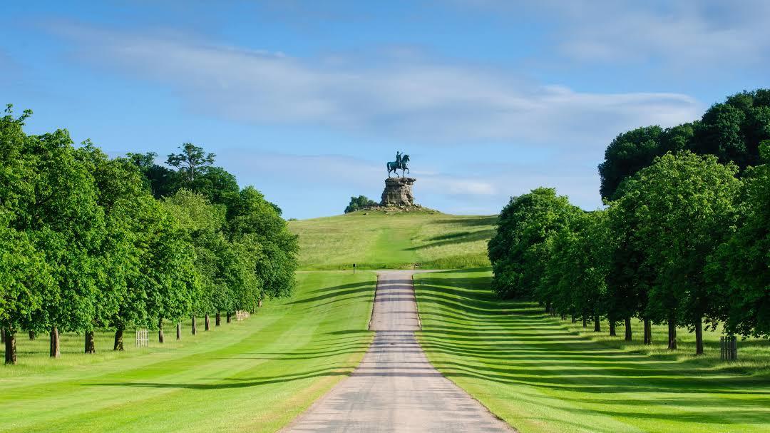 Windsor Great Park