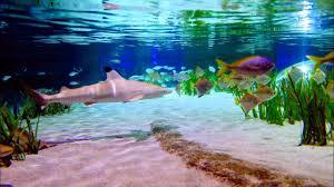 SEA LIFE Oberhausen