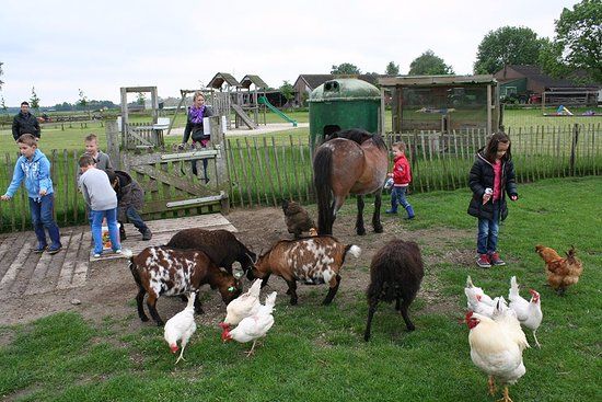 Children's farm playground 't Platteland