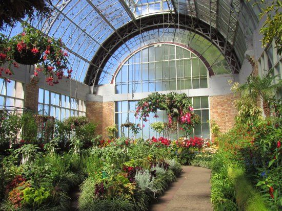 Winter Garden Auckland Domain