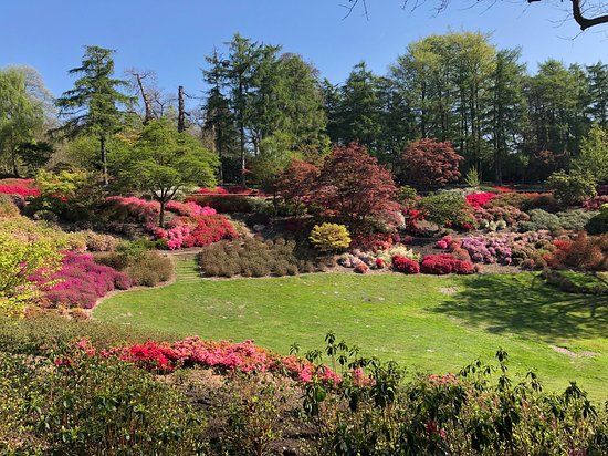 Valley Gardens