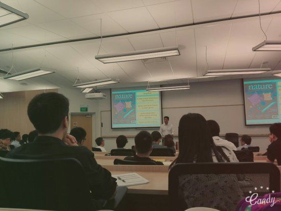 Universidad Nacional de Singapur