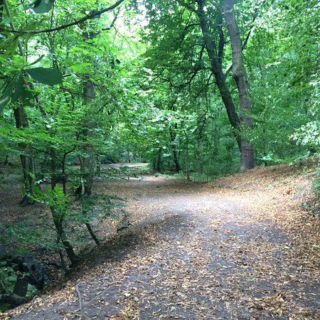 Worsley Woods