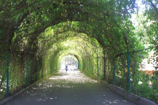 Jardim Botânico de Yerevan