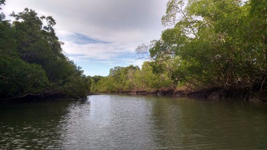 Parnaiba Delta