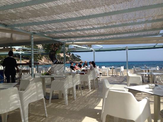 Cafeteria Arenal de Canyamel