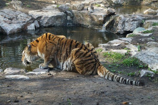 Zoo in Posen