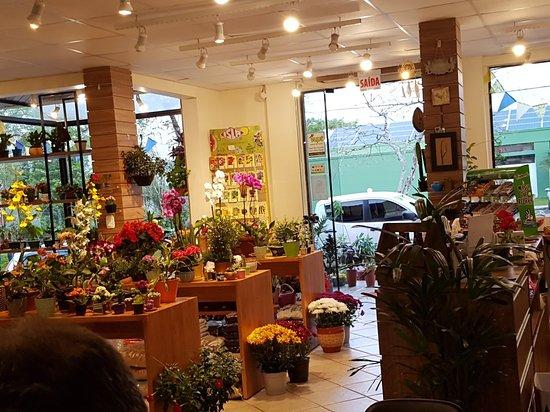 Thallus Floricultura Cafe