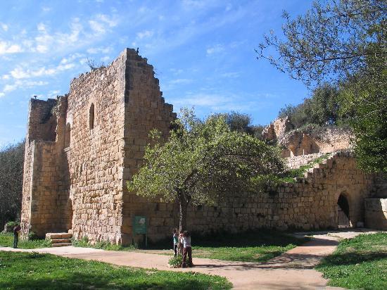 Ein Hemed National Park