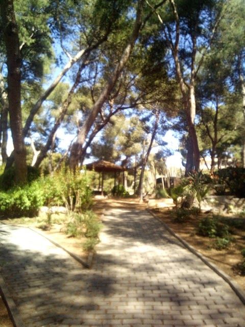 Municipal Park