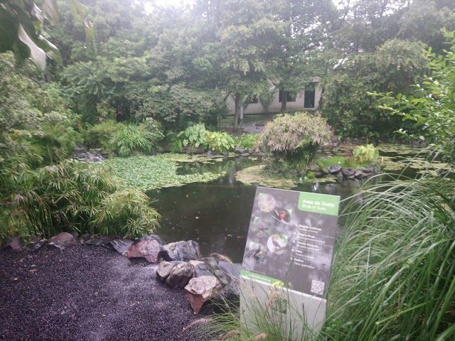 Jardim Botânico de Quito