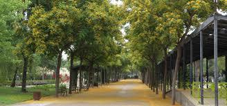 Parc del Pescador