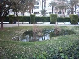 Parc de Ribes Roges