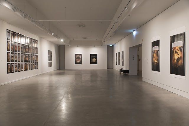 The Dowse Art Museum