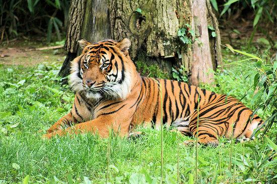 Smithsonian National Zoological Park
