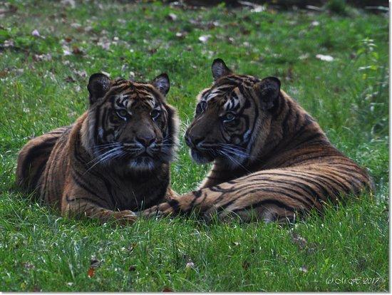 Tierpark Cottbus