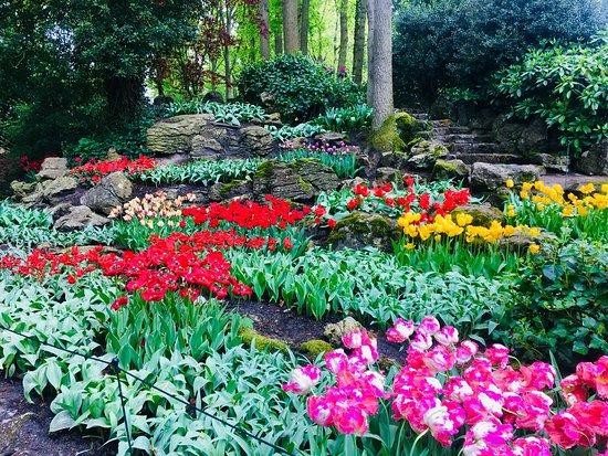Keukenhof