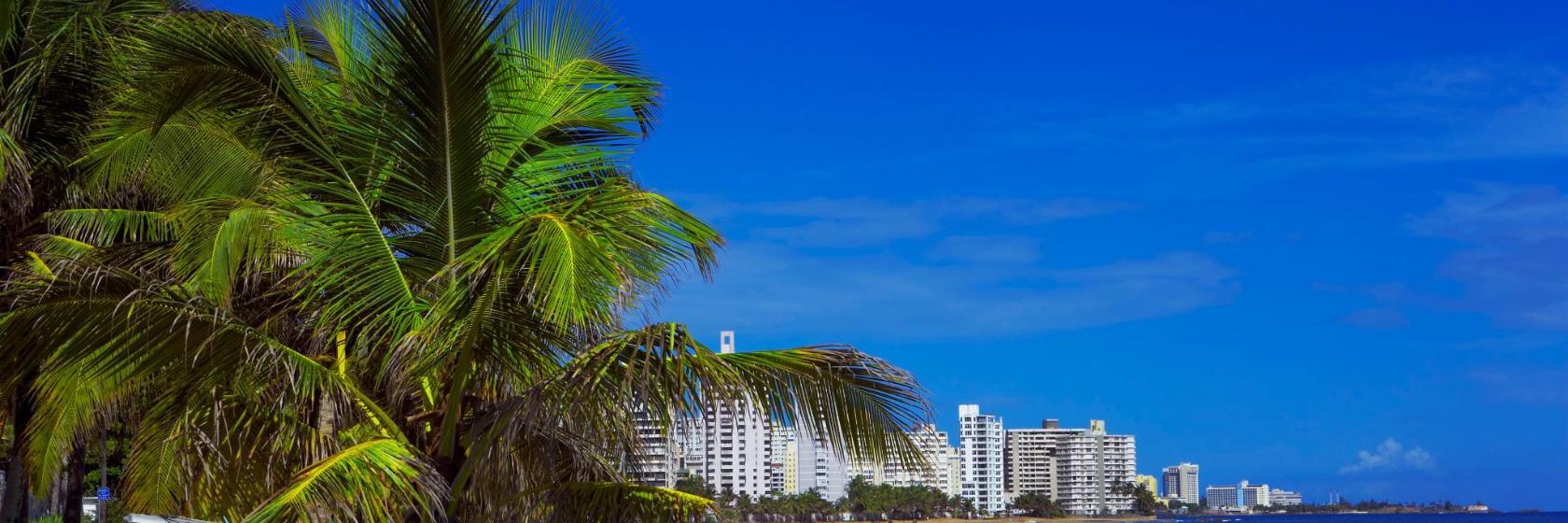 Ocean Park Beach