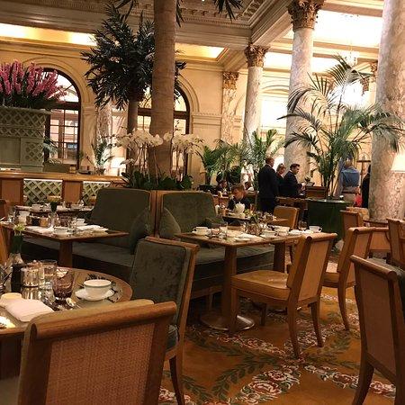 The Palm Court