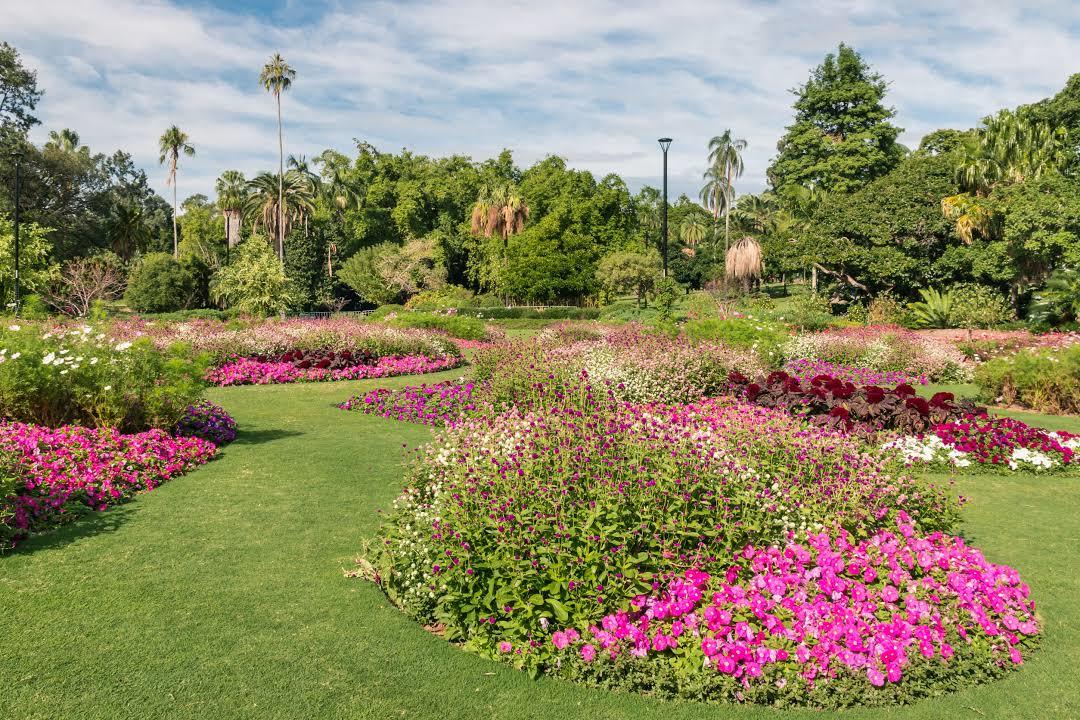 Botanischer Garten Brisbane City Botanic Gardens