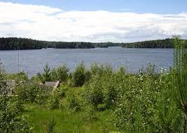 Masnaren