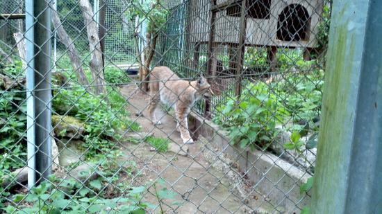 Wildpark Pforzheim