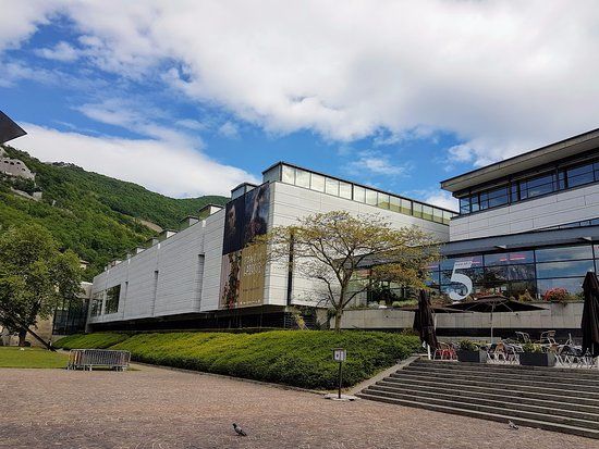 Museum of Grenoble