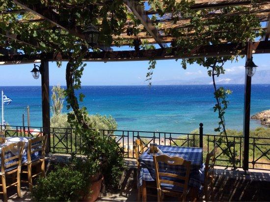 Olga's Taverna
