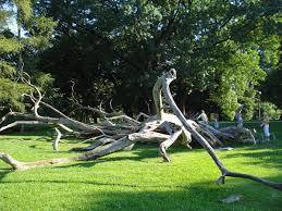 Zrinski Park
