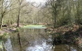 Camlet Moat
