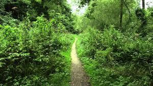 Gatley Carrs