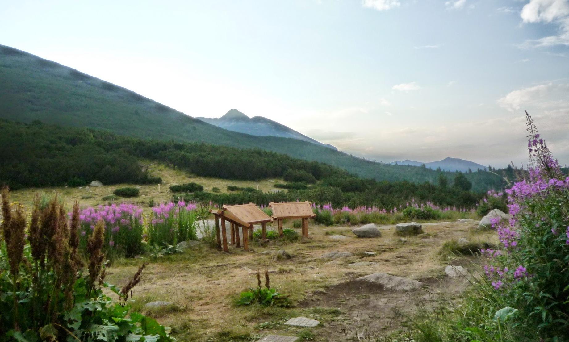 Bansko Belediyesi