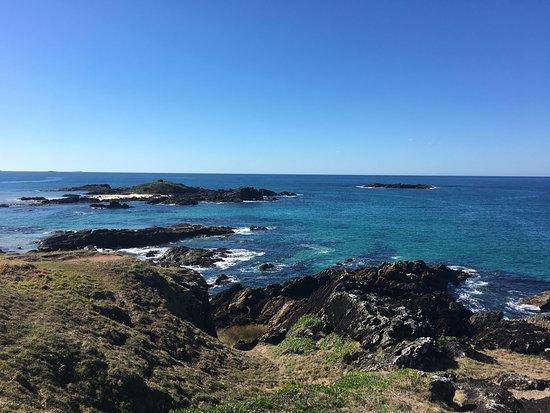 Boambee Headland