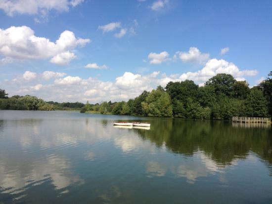 Hatfield Forest Nature Reserve