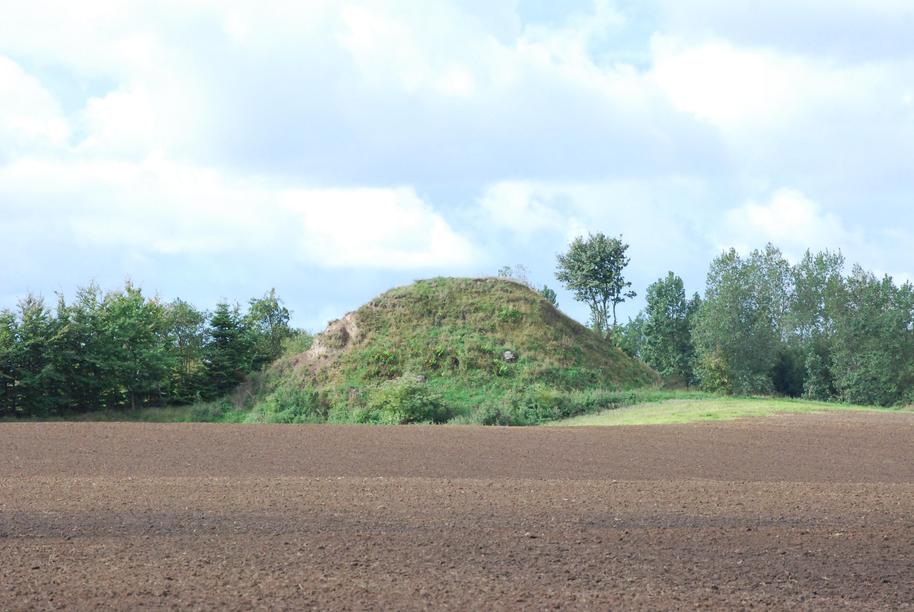 Baunehoi