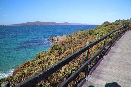 Ellen Cove Boardwalk