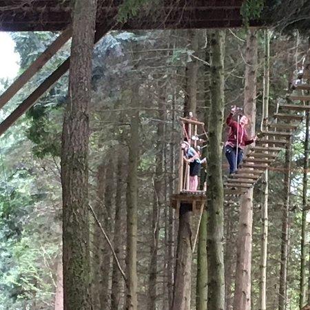 Tamar Trails
