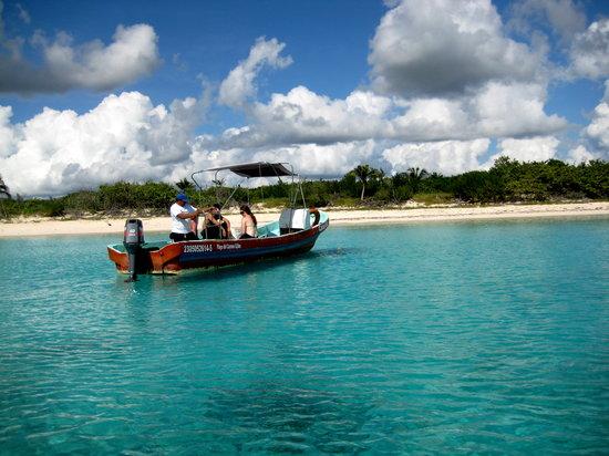 Fantasea Dive - Diving & Adventures