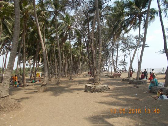 Arnala Beach