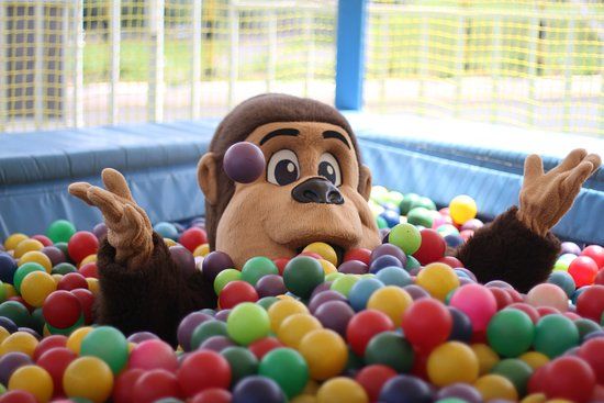 Park do Gorilao