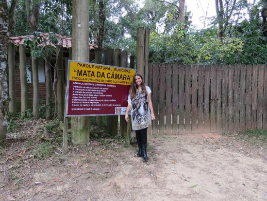 Mata da Camara