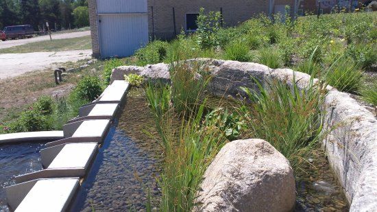 The Botanic Garden