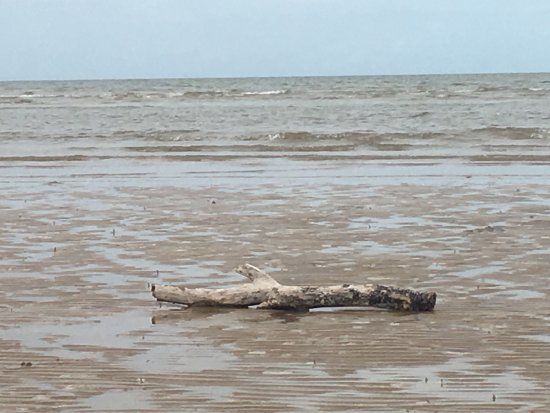 Kurrimine Beach National Park