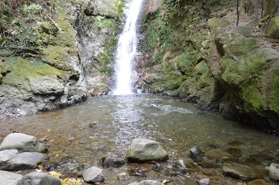 Ohau Stream Walk